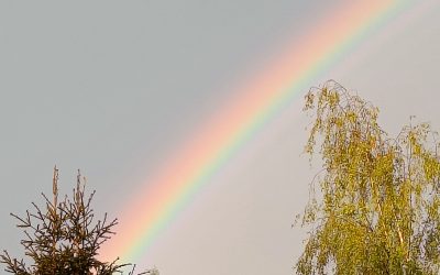 Rentouttavaa kesälomaa!