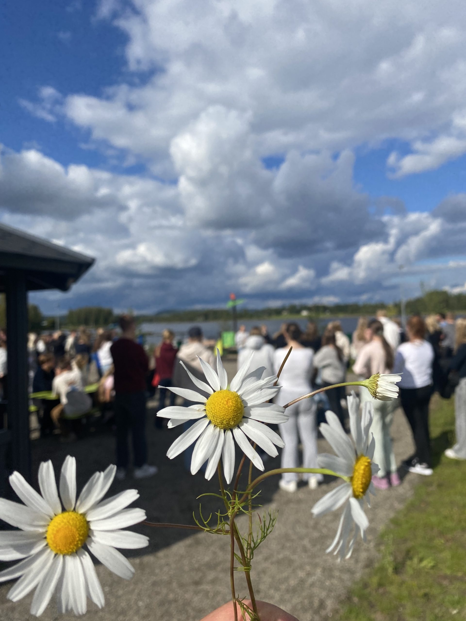 Ryhmäytymispäivä 29.8